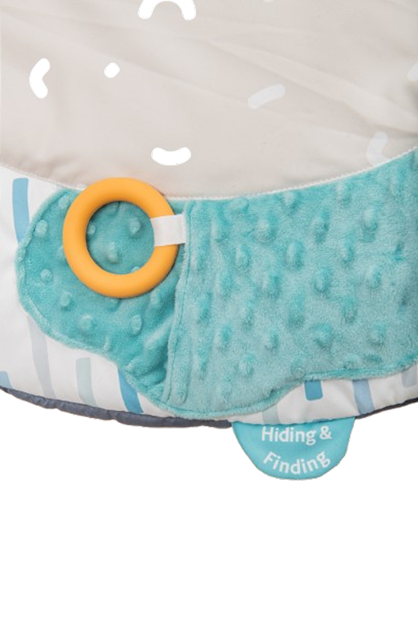 Mildstones Developmental Baby Play Mat & Gym