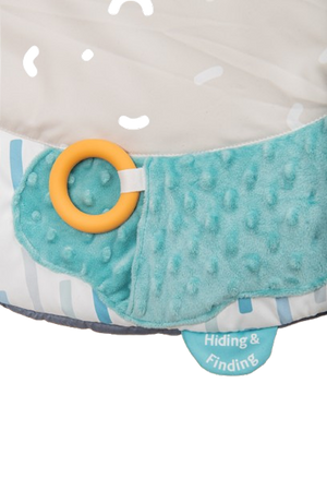 Mildstones Developmental Baby Play Mat & Gym