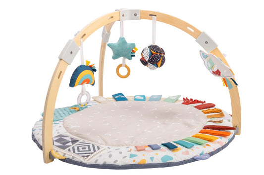 Developmental baby gym