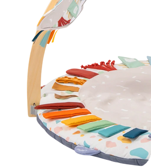 Mildstones Developmental Baby Play Mat & Gym